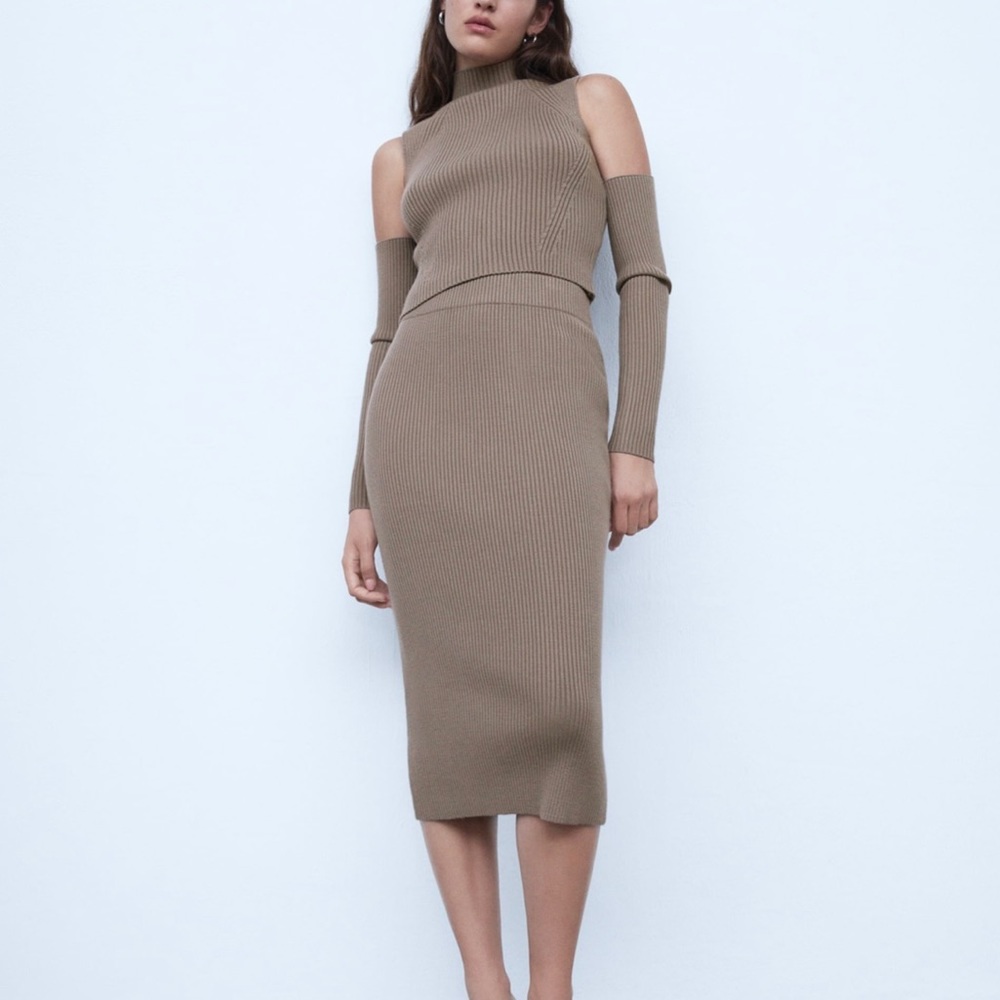 Zara Tan Pencil Skirt
